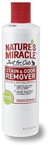 Nature's Miracle - Stain & Odor Remover Just for Cats - 16 fl. oz (473 ml)