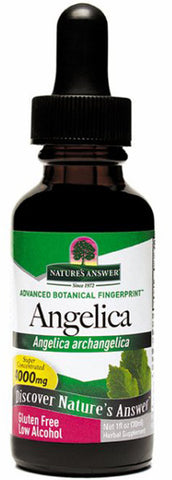 Natures Answer Angelica Root