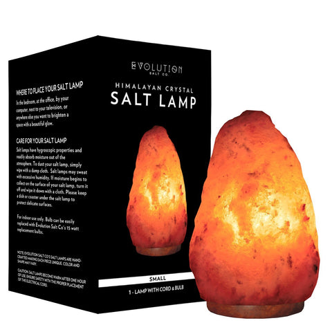 EVOLUTION - Himalayan Natural Cystal Salt Lamp