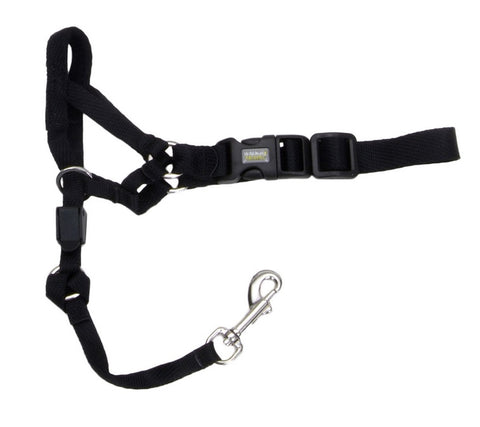 COASTAL - Walk 'n Train Dog Head Halter Size 1 Black