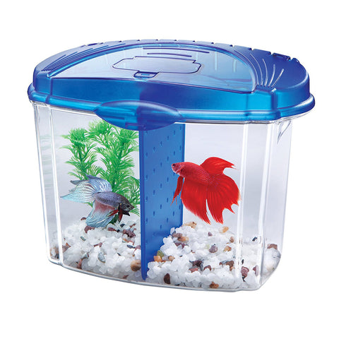 AQUEON - Betta Bowl Aquarium Kit Blue