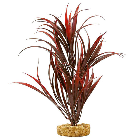 COLORBURST FLORALS - Sword Plant for Aquarium Red