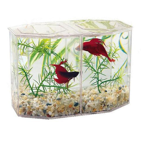 LEE'S - Betta Keeper Kit, Large