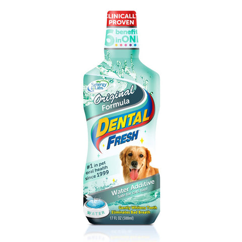 SYNERGY- Dental Fresh Original Formula for Dogs