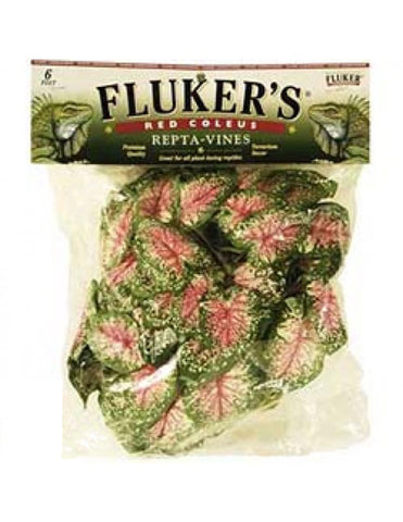 Fluker Labs -  Repta-Vine Red Coleus