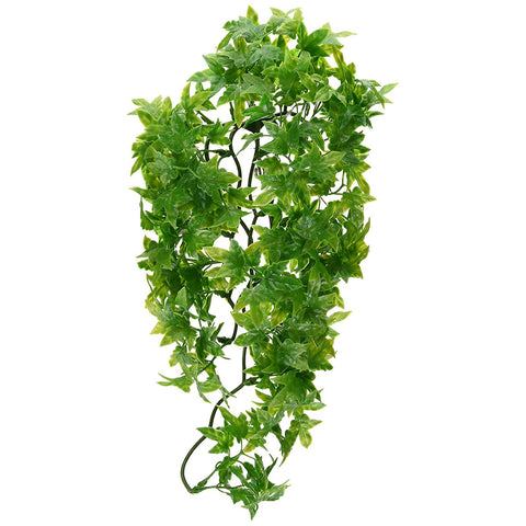 ZOO MED - Natural Bush Plant Congo Ivy Medium