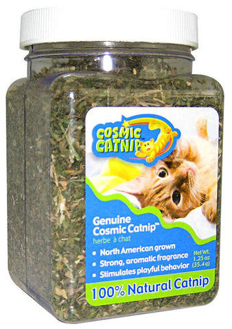 Cosmic - Genuine Cosmic Catnip