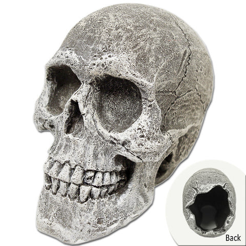 EXOTIC ENVIRONMENTS - Human Skull Mini