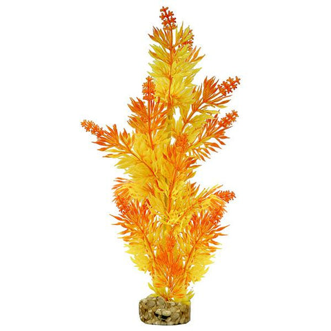 COLORBURST FLORALS - Gravel Base Plant Large Bush Plant Orange