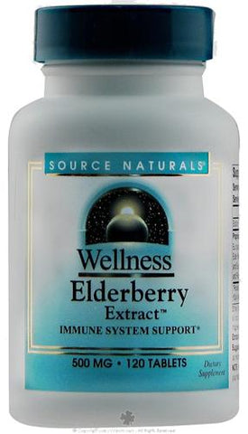 Source Naturals Wellness Elderberry Extract