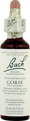 Bach Flower Remedies Flower Remedies Essence  Gorse