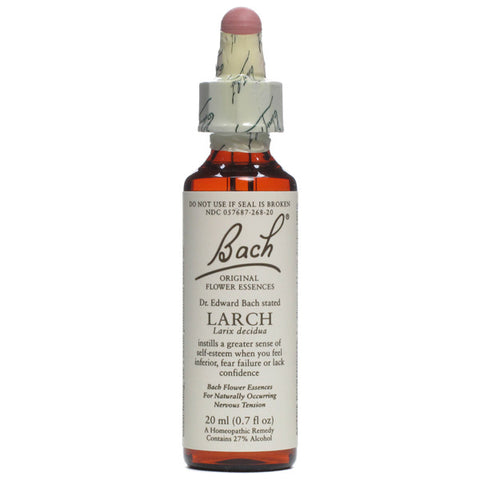 Bach Flower Remedies Flower Remedies Essence  Larch