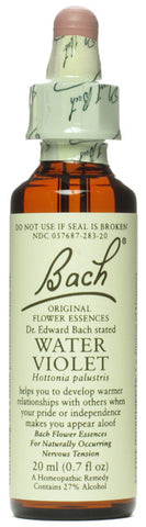 Bach Flower Remedies Flower Essence  Violet