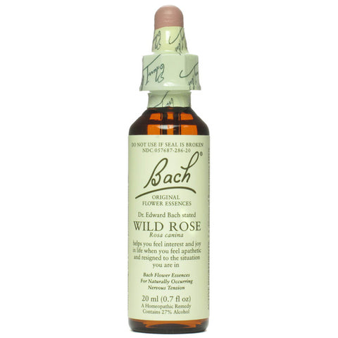 Bach Flower Remedies Flower Essence  Wild Rose